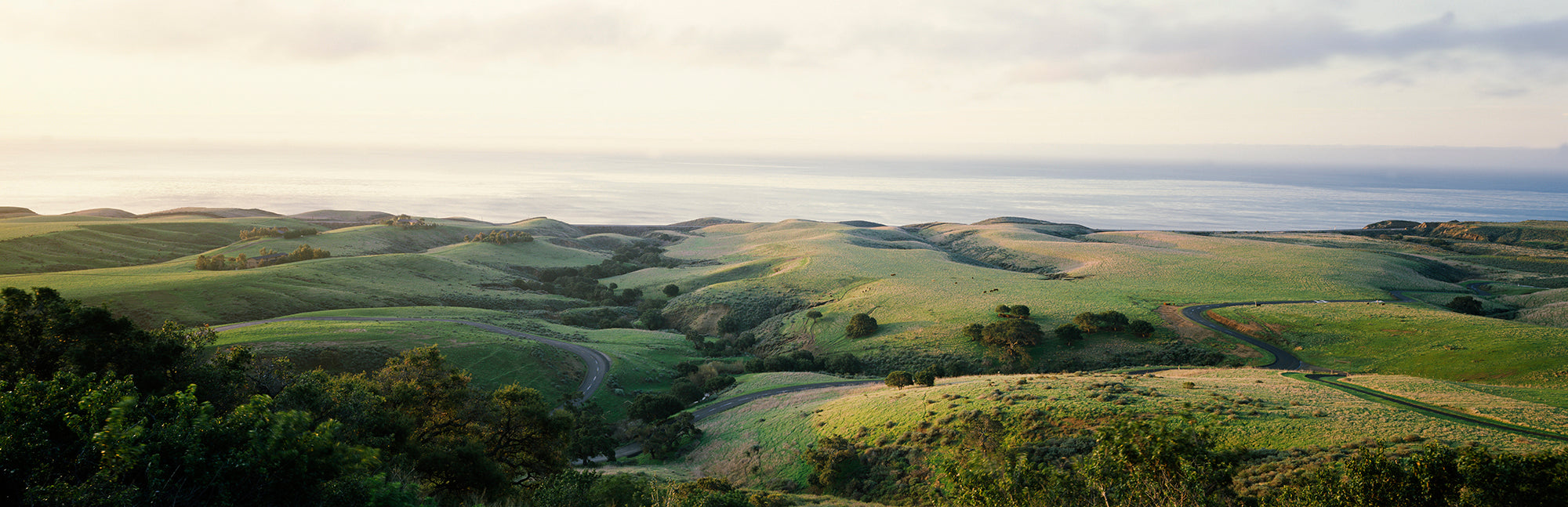 Aerial View Of A Rolling Landscape, Santa Barbara, Santa Barbara County, California, USA Wall Mural