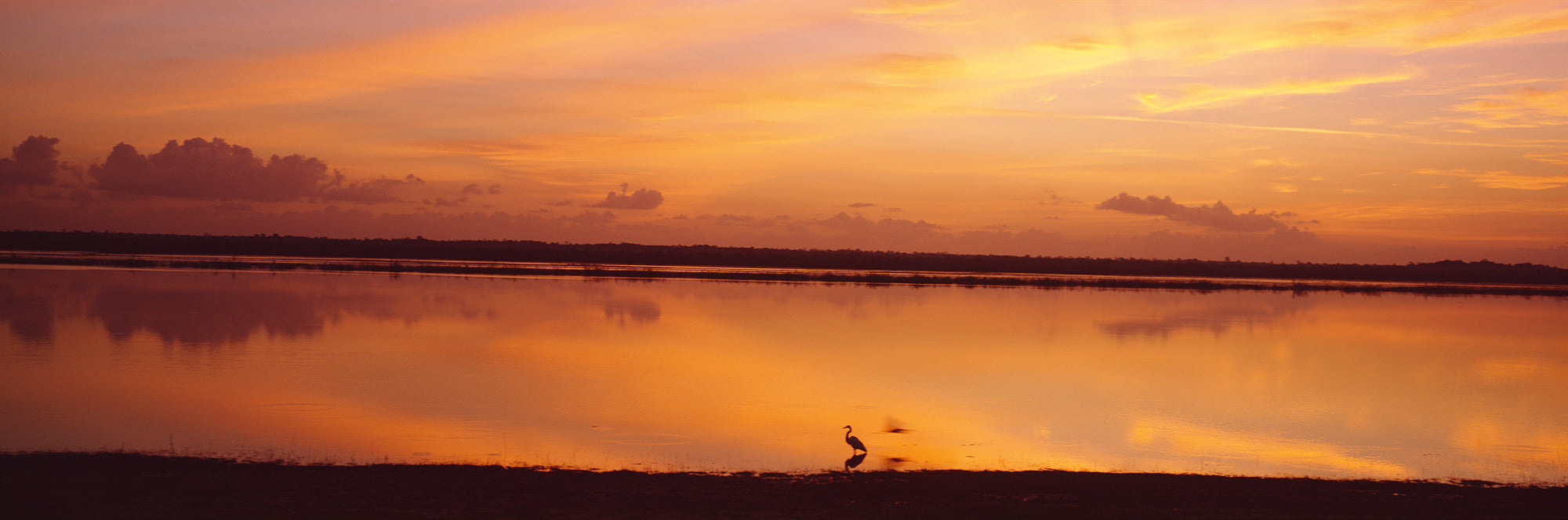 Clouds Over A Lake, Crooked Tree Lagoon, Belize, Central America Wall Mural