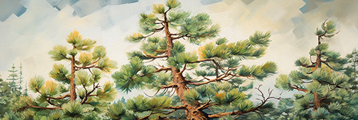 Oil Painted Pine Trees Wall Mural