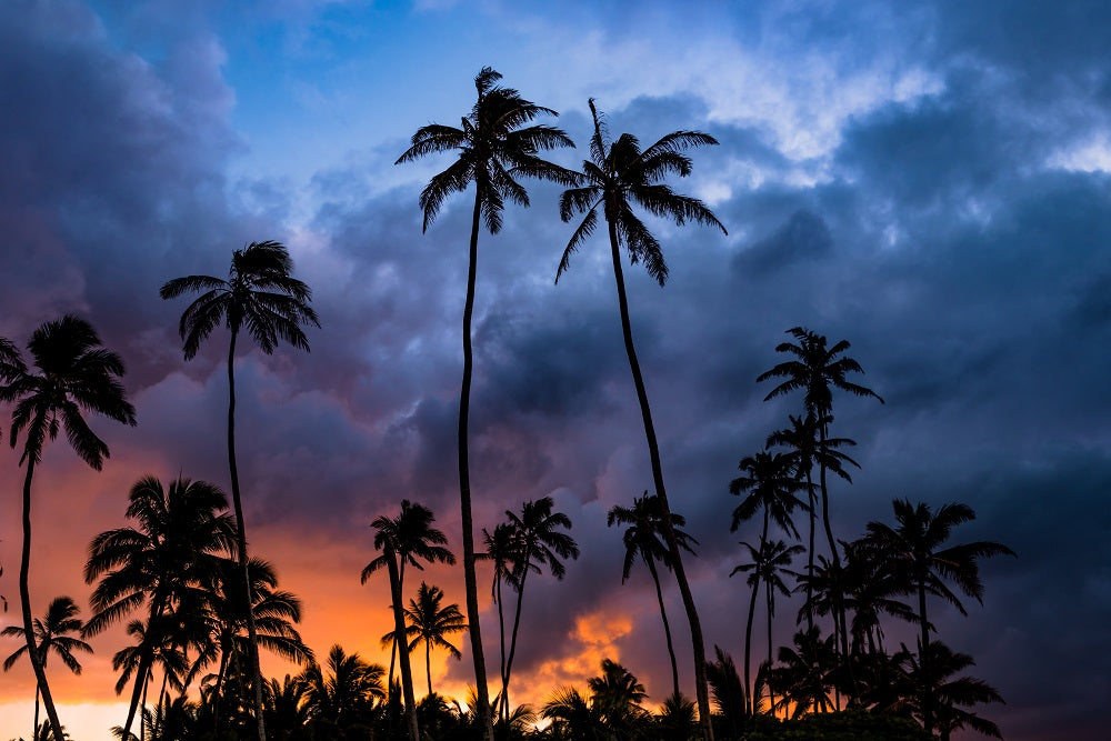 Fire in the Sky Wall Mural