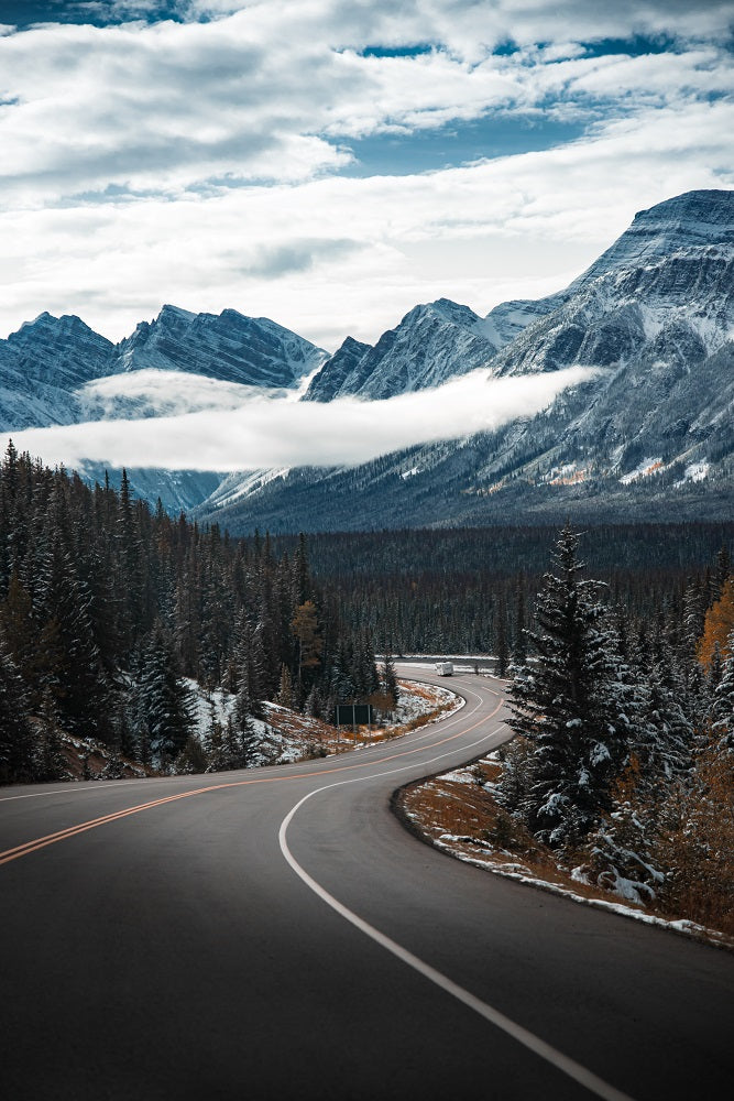 Snowy Drive Wall Mural