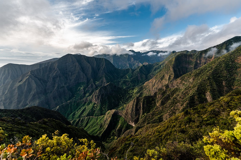 Maui Valley Wall Mural